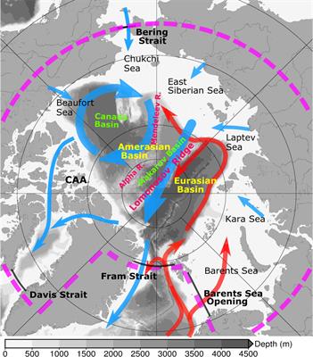 A Synthesis of the Upper Arctic Ocean Circulation During 2000–2019: Understanding the Roles of Wind Forcing and Sea Ice Decline